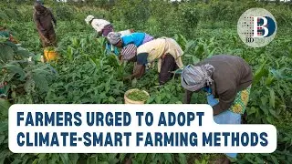 Farmers urged to adopt climate-smart farming methods