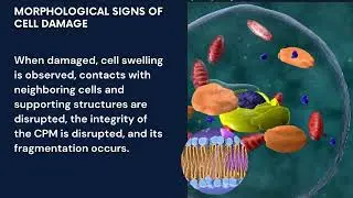 Causes of cell damage