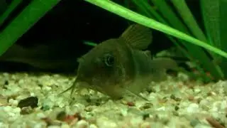 VIDEO0054