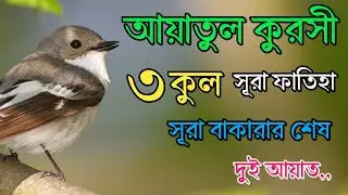 ৩ কুল, আয়াতুল কুরসী, সূরা ফাতিহা ও সূরা বাকারার শেষ দুই আয়াত | Reciter By Ayoub Mosab