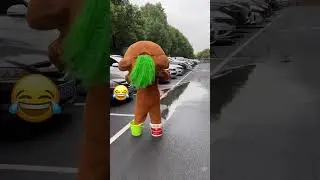 Bear brown funny moments | Tik Tok funny video P10🐻😂