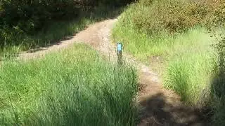 Hiking Herron Park&rsquo;s Notch Trail in Flathead Valley