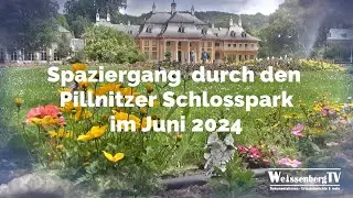 Schlosspark Pillnitz im Juni 2024