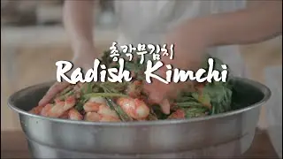Korean Harvesting Radishes from the Garden to Make Radish Kimchi in Philippine Countryside