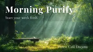 Pure Morning Energy - Cleanse Your Mind | Misty Forest Jazz for a Fresh Start
