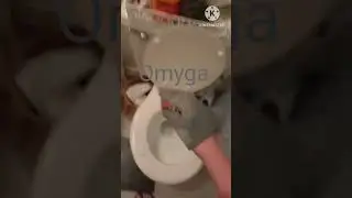 Shark puppet go to Bathroom