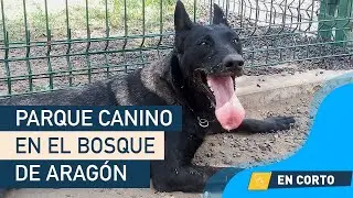 &iexcl;Nuevo parque para lomitos en Arag&oacute;n!