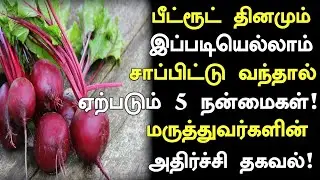 பீட்ரூட் 5 மருத்துவ பலன்கள் ! | Beetroot Health Benefits in Tamil | Nalam 360