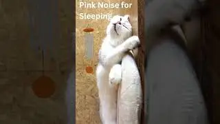 Pink Noise for Sleeping #shorts