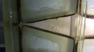 Visualization of switching of jet in fluidic oscillator using tea powder as tracer.