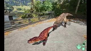 Close call with the T-rex (The Isle)