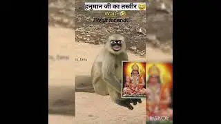 wait for end 😂Hanuman ji ki tiswer #funnyreel#funnymonkeyreel #comedyreel#funnyreelsviral #viral