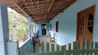 Vende um sítio no ximendes zona rural de União dos Palmares Alagoas 6 hectares $220.000 