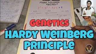 Evolution | Hardy Weinberg Law | Population Genetics | Tamil | Biology | ThiNK VISION | tnkumaresan