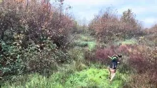 Chasse au chevreuil 