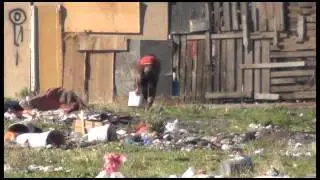 Čišćenje Kampa 2 Konik, Podgorica