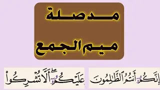 أحكام ميم الجمع عند ورش _ مــــد صلة ميم الجمع  (ورش)_