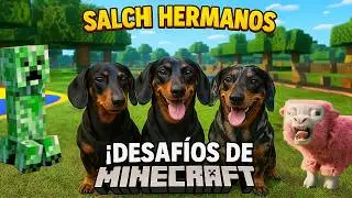 DESAFIO MINECRAFT Real 💎🪨⛏️Quien Sobrevive M&aacute;s Tiempo?