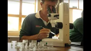 Why we've become a SmartRivers hub - Yealm Estuary to Moor