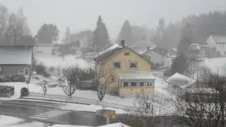 A Dream of Spring