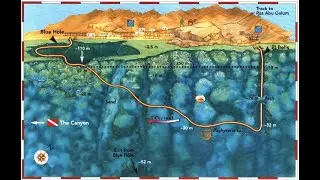 Blue Hole dive 