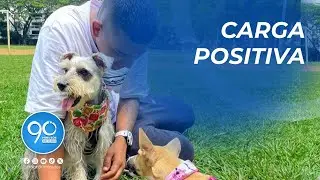 &lsquo;Nutricional Craft&rsquo; emprendimiento de galletas para perro que naci&oacute; en Cali