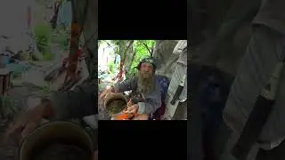 здесь нету волос