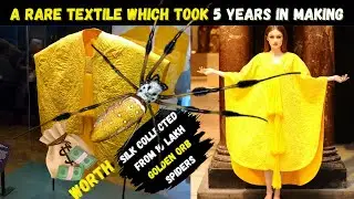 Golden Spider Silk | How Was It Made?| How much is golden spider silk worth?