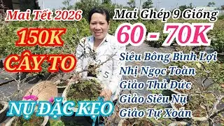 📞 NHIÊN MAI GHÉP CHƠI TẾT SIÊU NỤ ƯU ĐÃI CỰC RẺ CHỌN LẸ BAO SHIP 30/01/2026 | Bến Tre Ơi