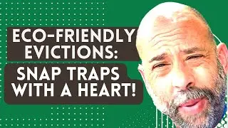Eco Friendly Rodent Control  The Ultimate Snap Trap Guide