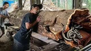 Unexpected incident while sawing old teak logs at the sawmill