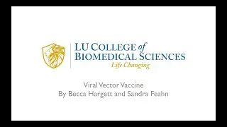 Viral Vector Vaccine