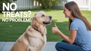 Training a Dog Without Using Treats