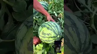 @Malwainspired Wow