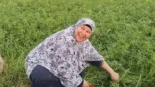 اكله رنجه في وسط الزرع والخضره مفيش احلى واجمل من كده 🔥🔥👍