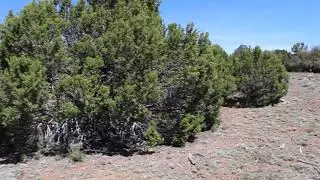 ARIZONA LAND OWNERSHIP CAN BE YOURS SLP Unit 6 Lots 427 and 428