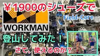 ワークマンの￥1900シューズで登山してみた！