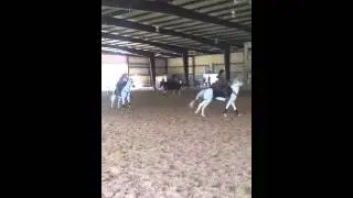 Silver Sands Drill Stirrup Some Dust