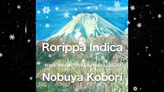 [January 30, 2025 Nobuya Kobori Release] Rorippa Indica (犬芥子)