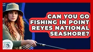 Can You Go Fishing In Point Reyes National Seashore? - Chasing Big Fish