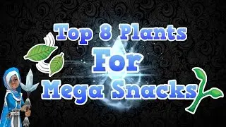 Top 8 Plants For Mega Snacks - Wizard101