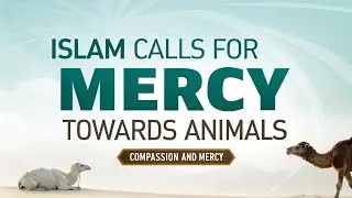 Islam and Animal Compassion: Mercy at the Heart of Faith