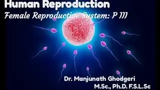 HUMAN REPRODUCTION||Female External Genitalia||CLASS12||KCET||AIIMS||NEET||KVPY||