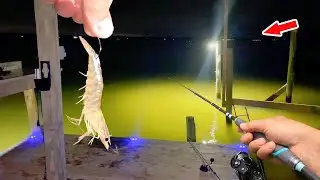 Eating Whatever We Catch from This Dock Light!