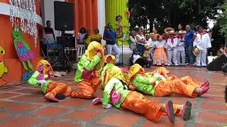 Marimonda colora
