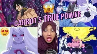 One Piece: Season 21 Episodes 861, 862 and 863 Reaction