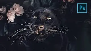 Black Panther With Flowers Art in Photoshop!