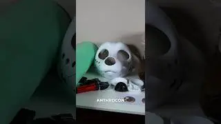 Обустраиваю базу для фурсьюта 🐻🧵 #фурри #фурсьют