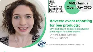 Bee products: adverse event reporting