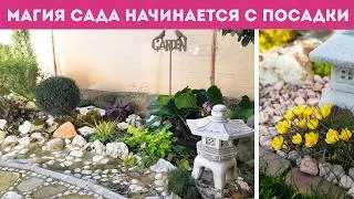 ⭐ПЕРВАЯ ПОСАДКА РАСТЕНИЙ в 2026 г. Сею интересные цветы I Сад начинает цветение!